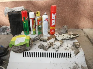 Vaddarazsak lakóépületbe költöztek