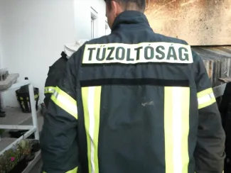 Hatalmas darázsfészek