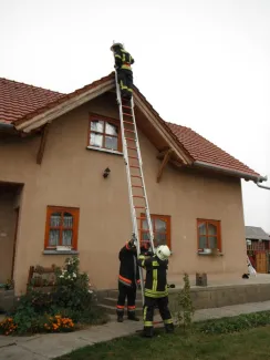 Vaddarázs minden mennyiségben...