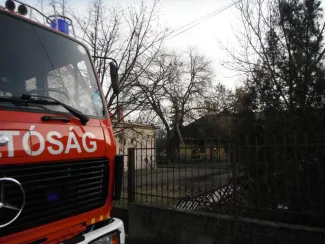 Fa ágai meghasadtak