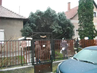 Tömeges káresemények Gyomaendrődön!