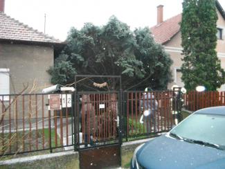 Tömeges káresemények Gyomaendrődön!