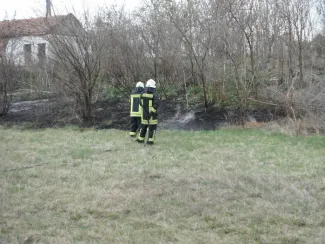 Aljnövényzet égett