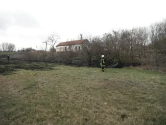 Aljnövényzet égett