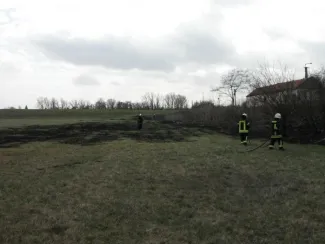 Aljnövényzet égett