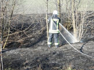 Körösladányi út mellett aljnövényzet égett