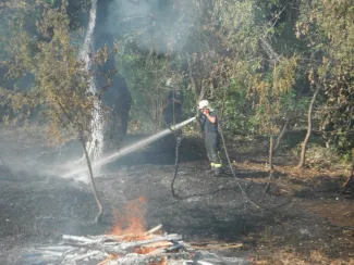 Avartűz az ártérben