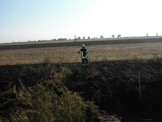 Gyomaendrőd - Dévaványa között gaz avar égett