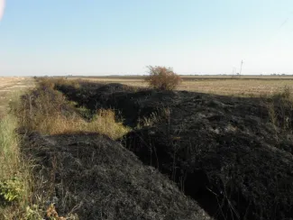 Gyomaendrőd - Dévaványa között gaz avar égett