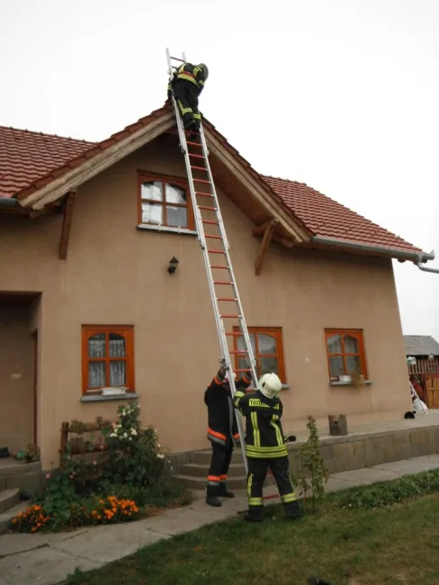 Vaddarázs minden mennyiségben...
