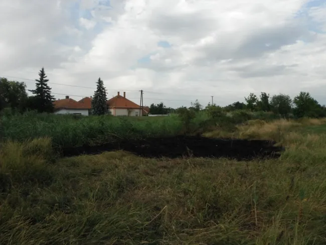 Száraz fű és nádas égett.